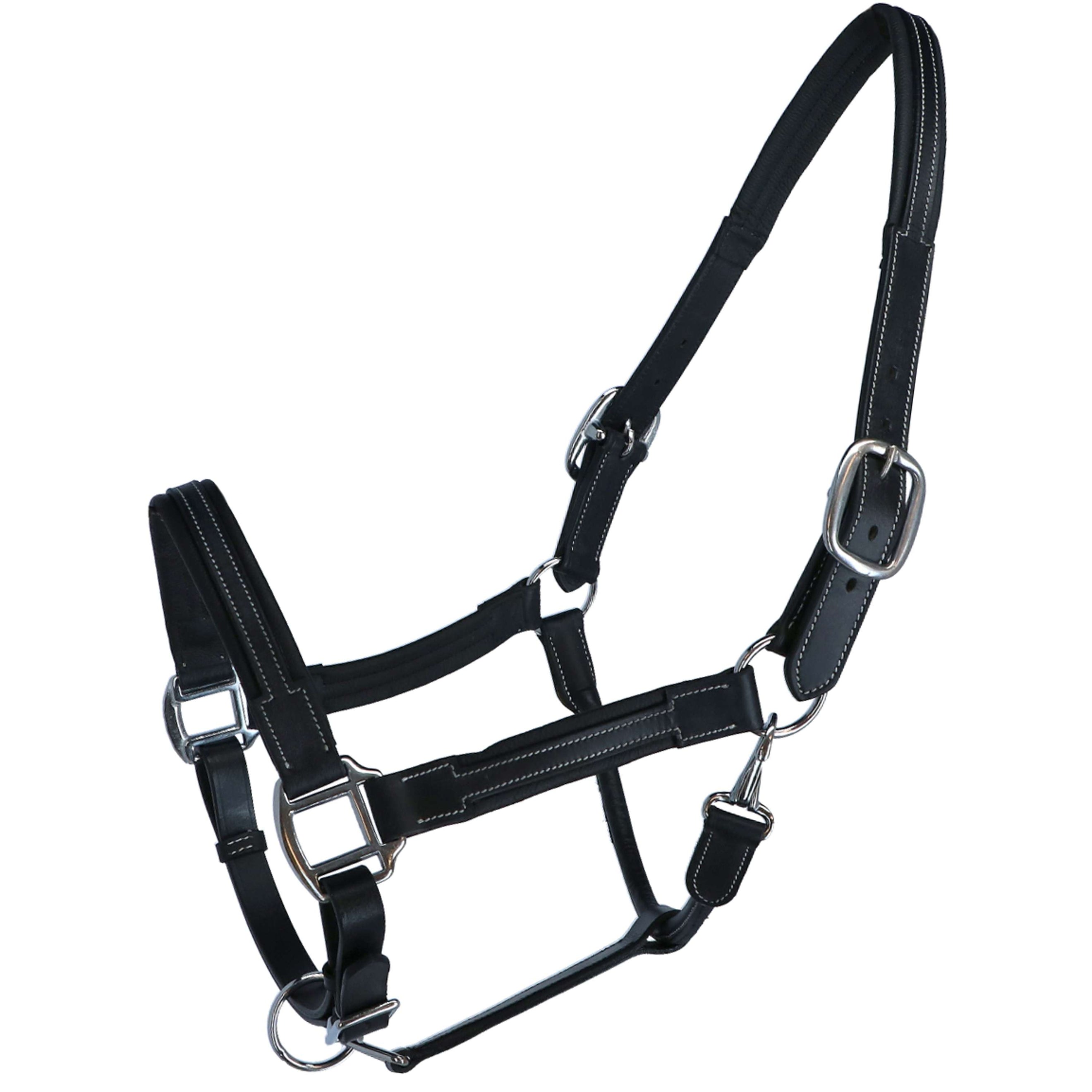 HKM Leather Headcollar Soft Black