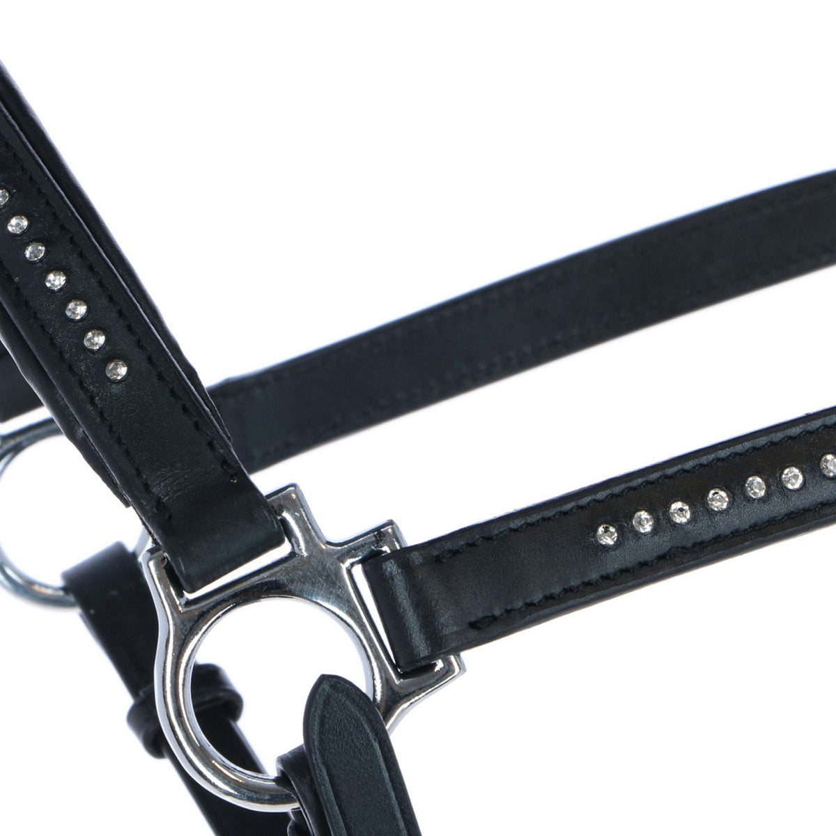 Harry's Horse Head Collar Finesse Crystal Leather Black