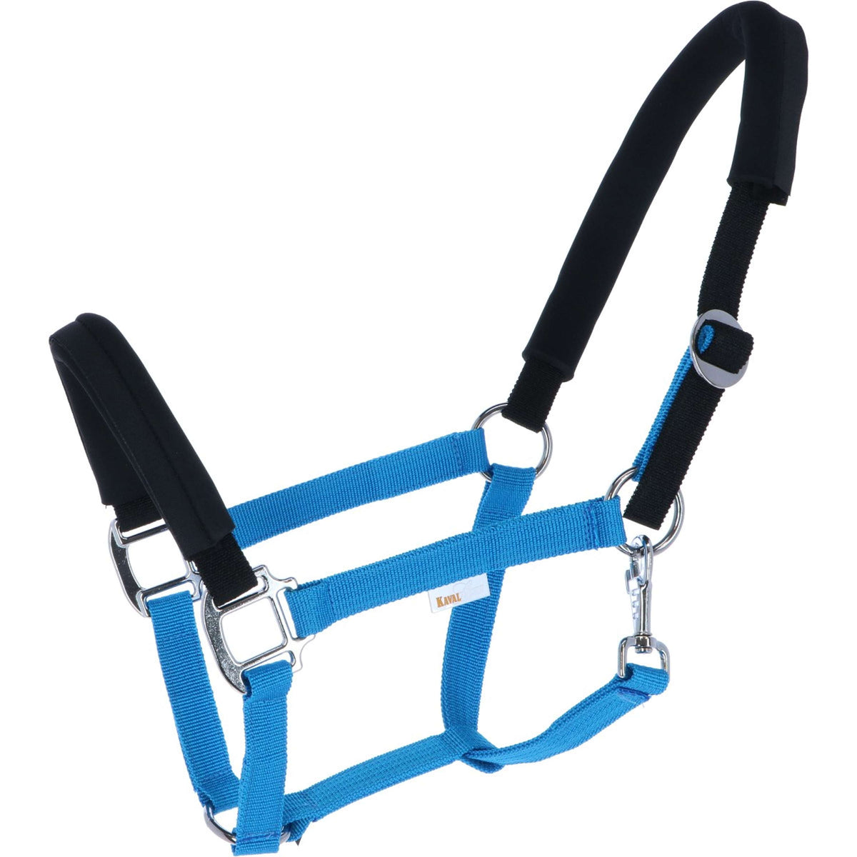 Kavalkade Head Collar KavalLastic Turquoise