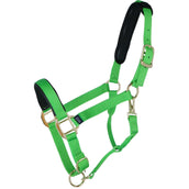 Shires Headcollar Topaz Nylon Green