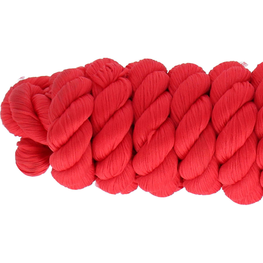 Wessex by Shires Lead Rope Red