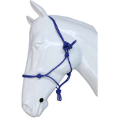 Riding World Halter Fine Ethologically Royal Blue