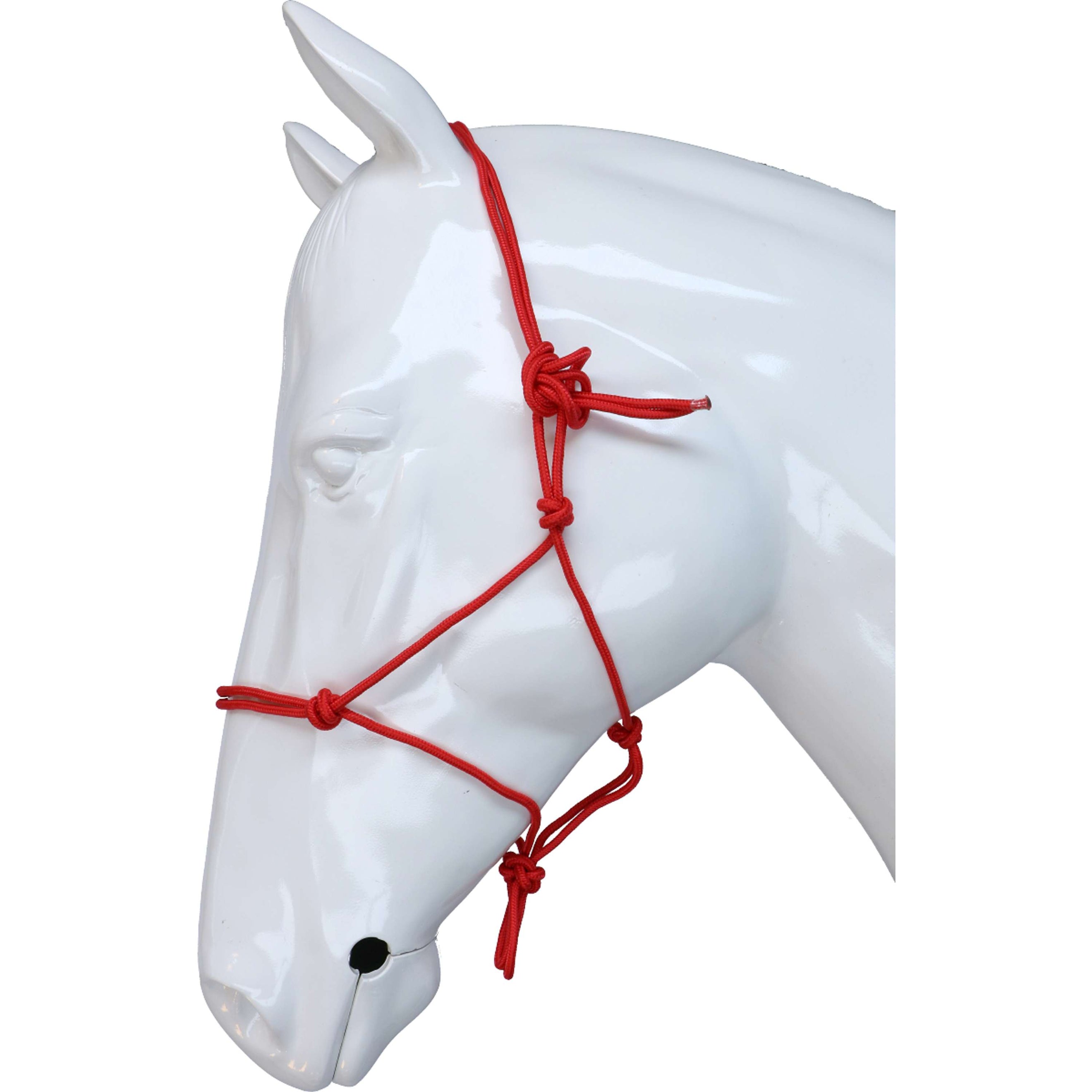 Riding World Halter Fine Ethologically Red