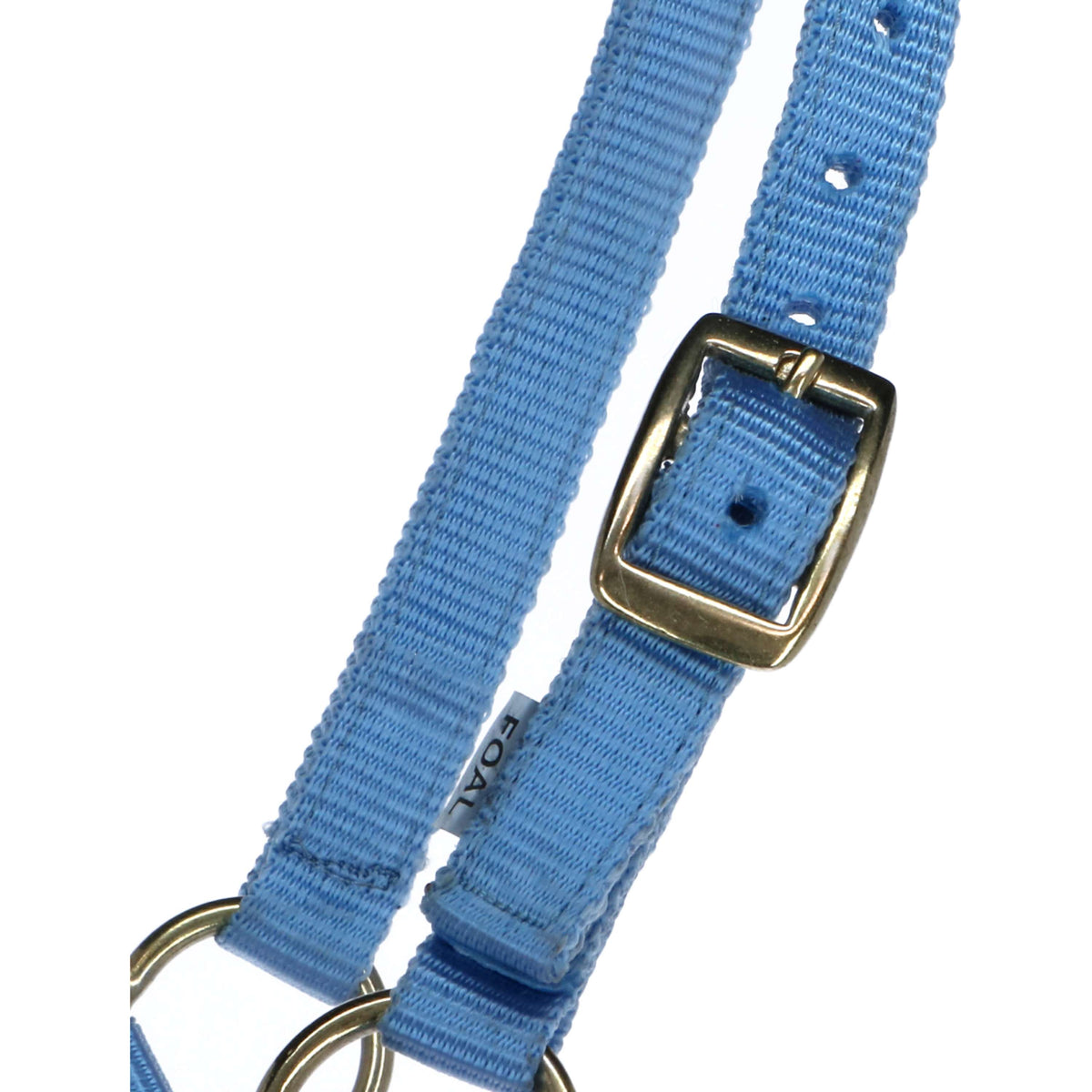 Norton Foal Halter with a Line Light Blue