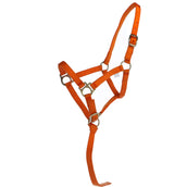 Norton Foal Halter with a Line Orange