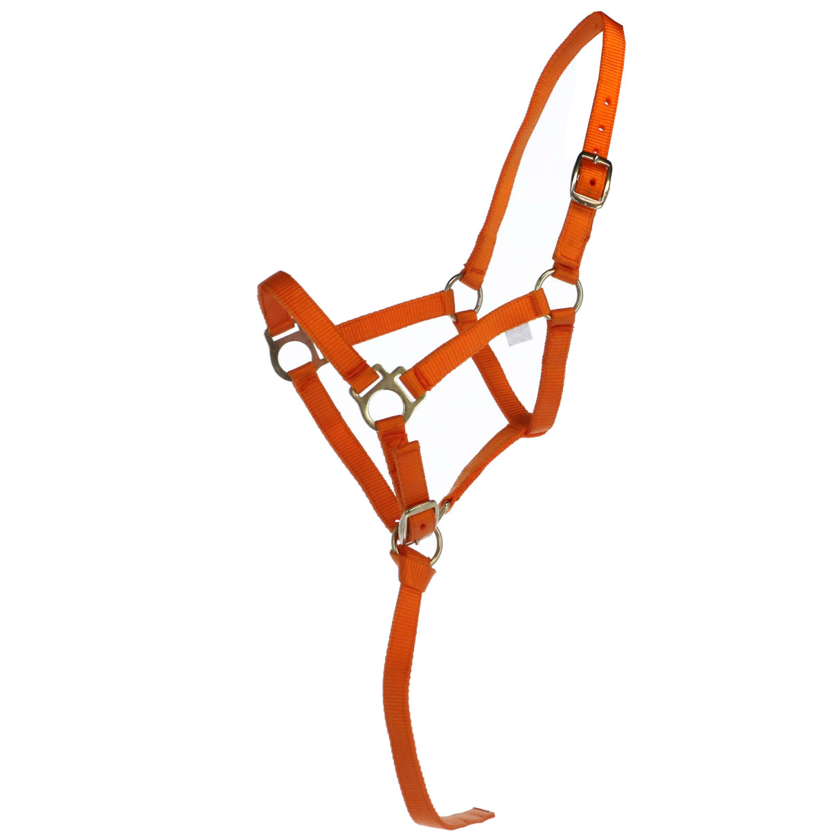 Norton Foal Halter with a Line Orange