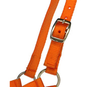 Norton Foal Halter with a Line Orange