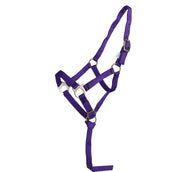 Norton Foal Halter with a Line Purple