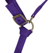 Norton Foal Halter with a Line Purple