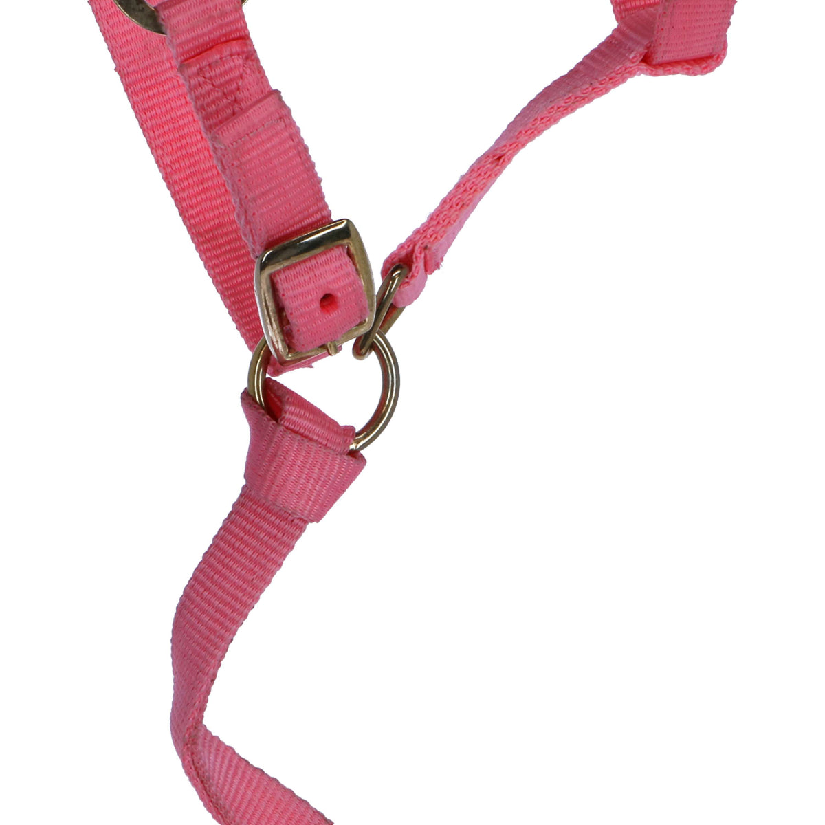 Norton Foal Halter with a Line Pink