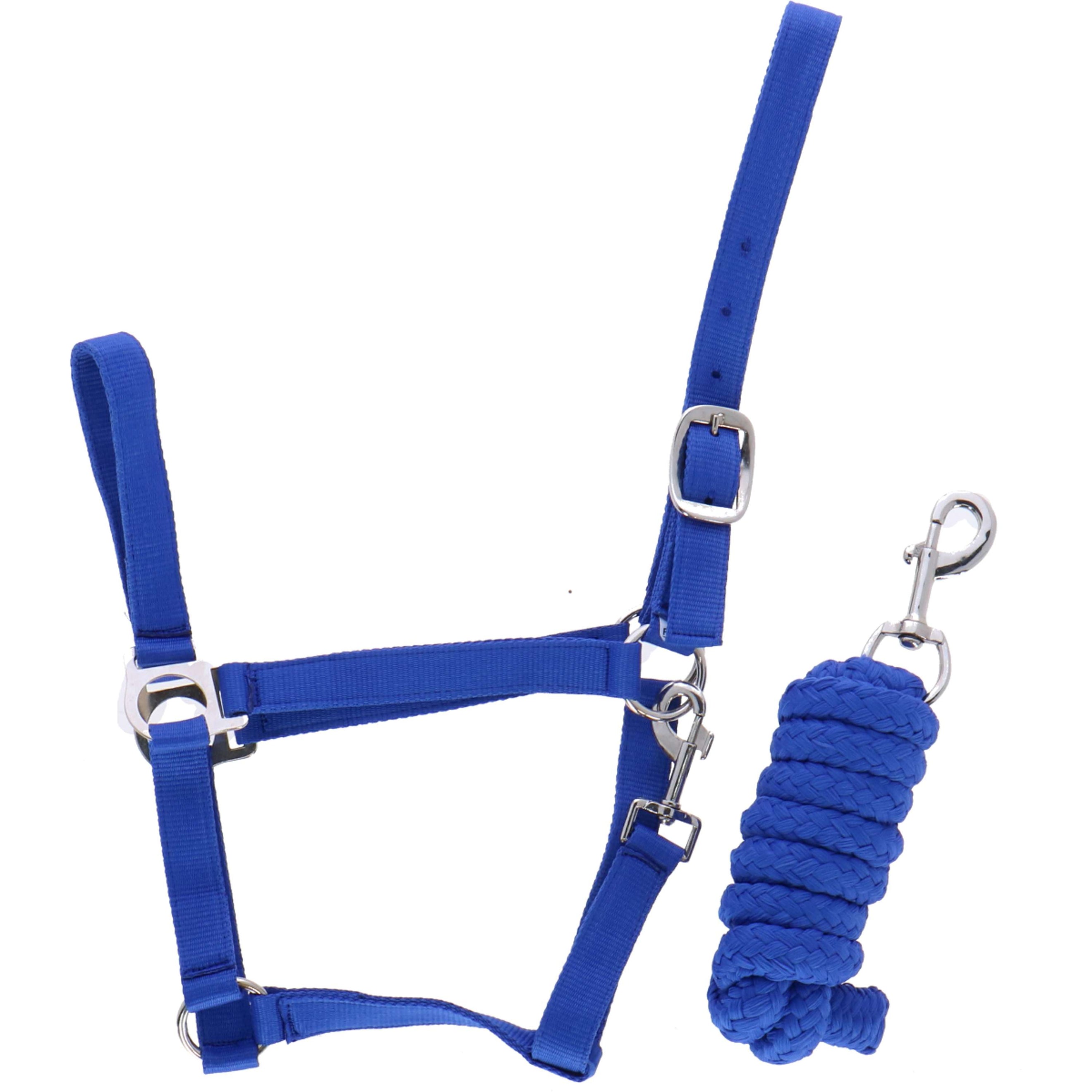 Riding World Head Collar Set Club with Rope Royal Blue