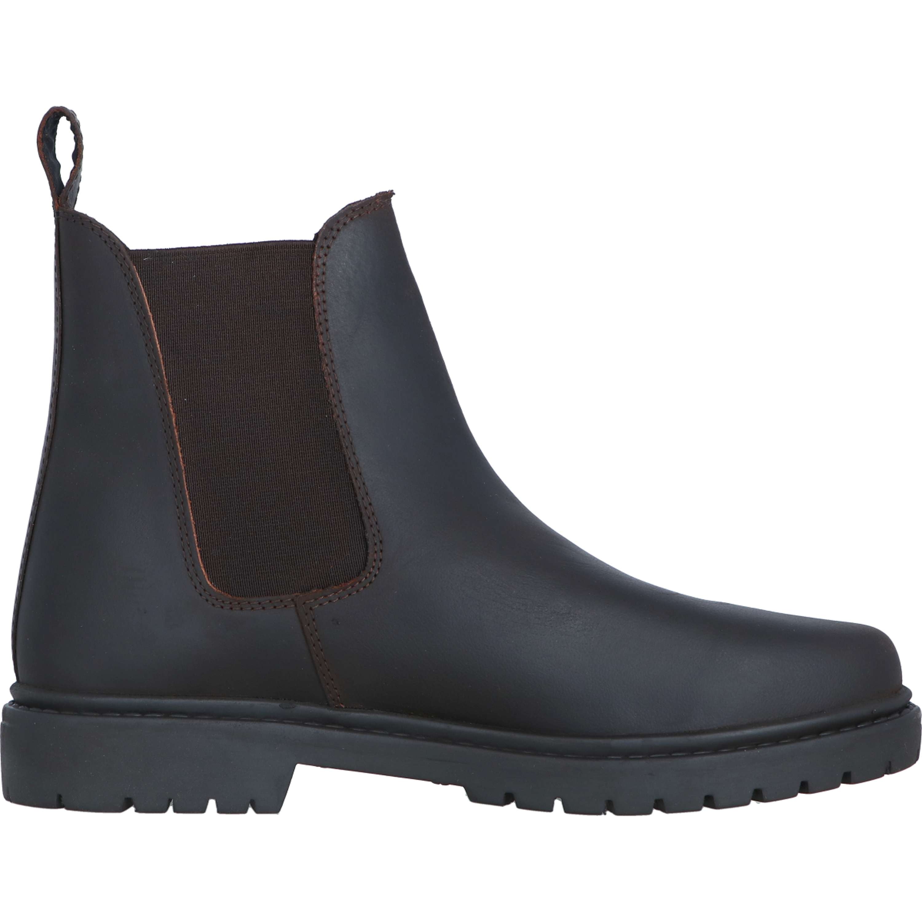 Norton Jodhpurs Camargue Brown