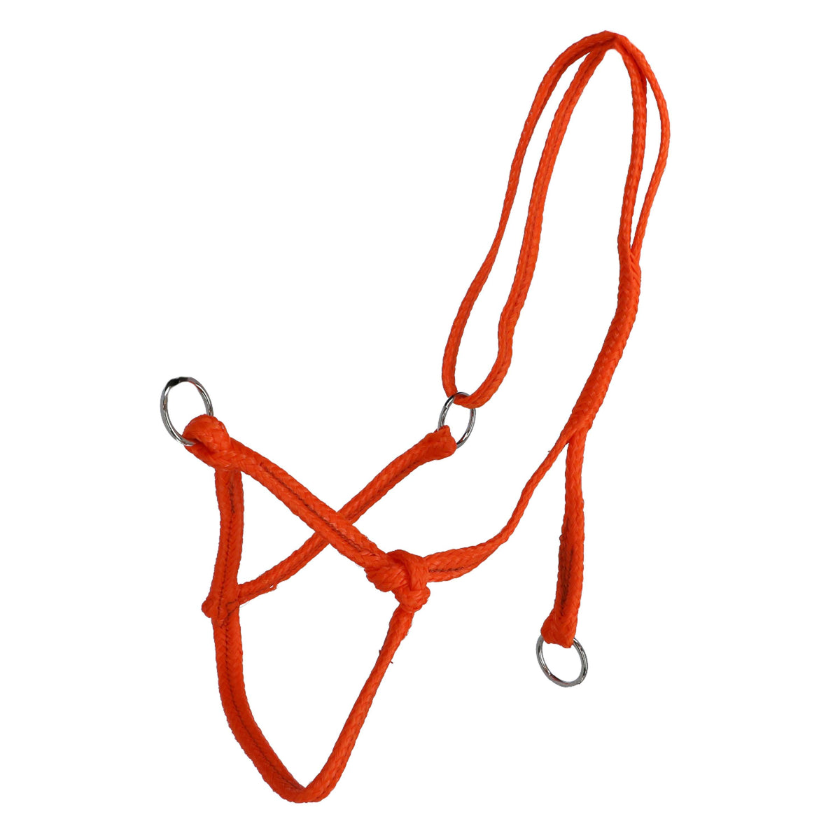 Agradi Head Collar Cow Orange