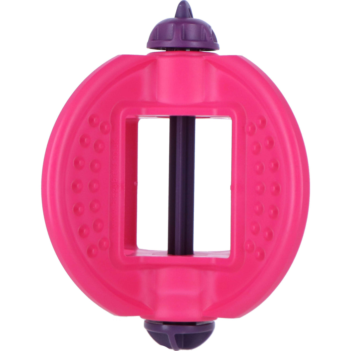 Bizzy Toy Ball Multifunctional Rose