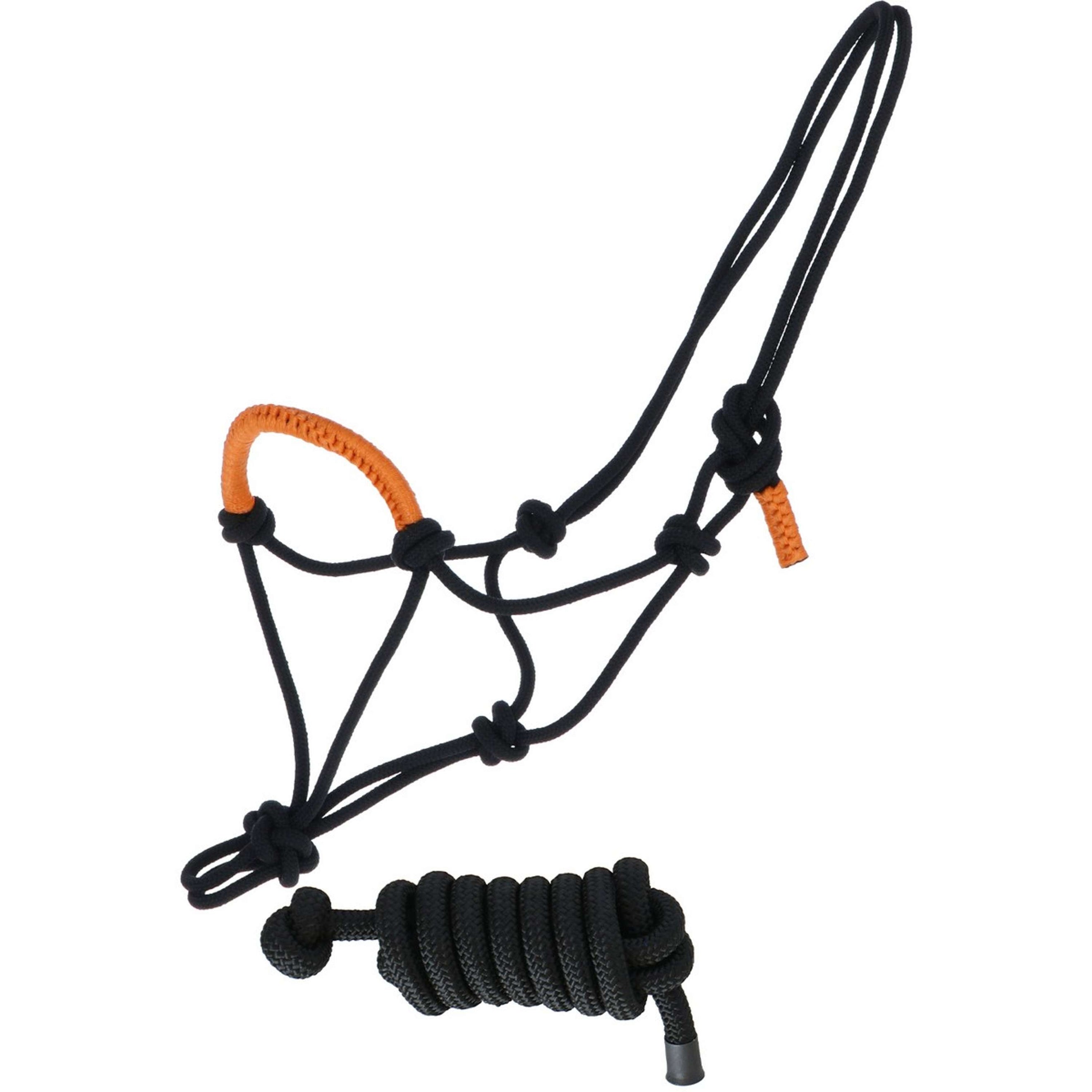 Norton Halter and Leadrope Fun Colour Ethologically Black/Neon Orange