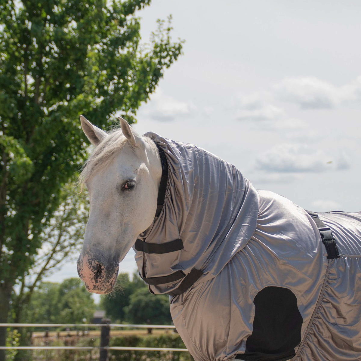 Harry's Horse Anti Eczema/Fly Rug UV