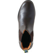 Moretta Jodhpurs Alma Brown