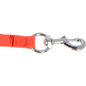 Shires Ribbon Tie Bungee Breakaway Orange