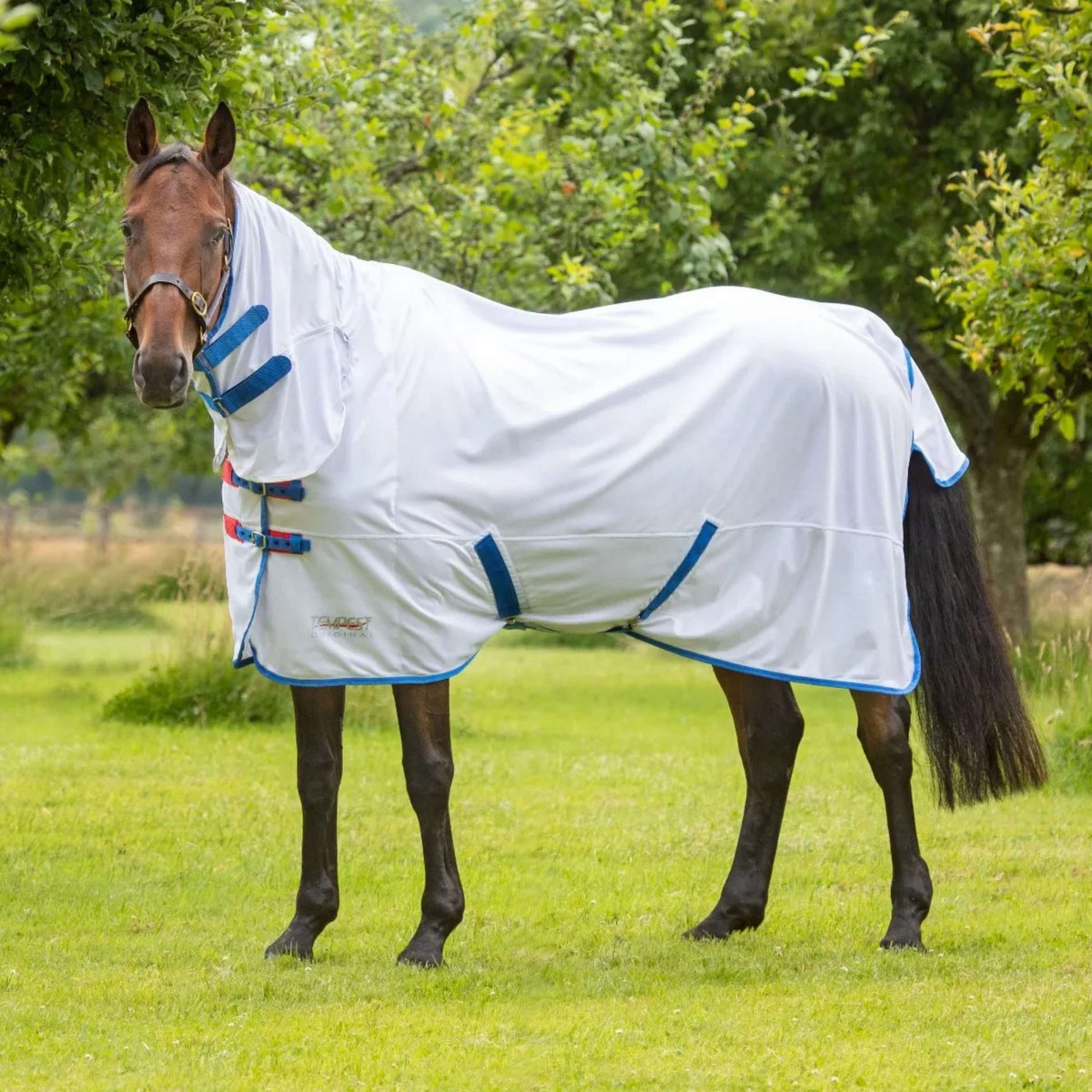 Tempest Original by Shires Fly Rug Fly Combo White