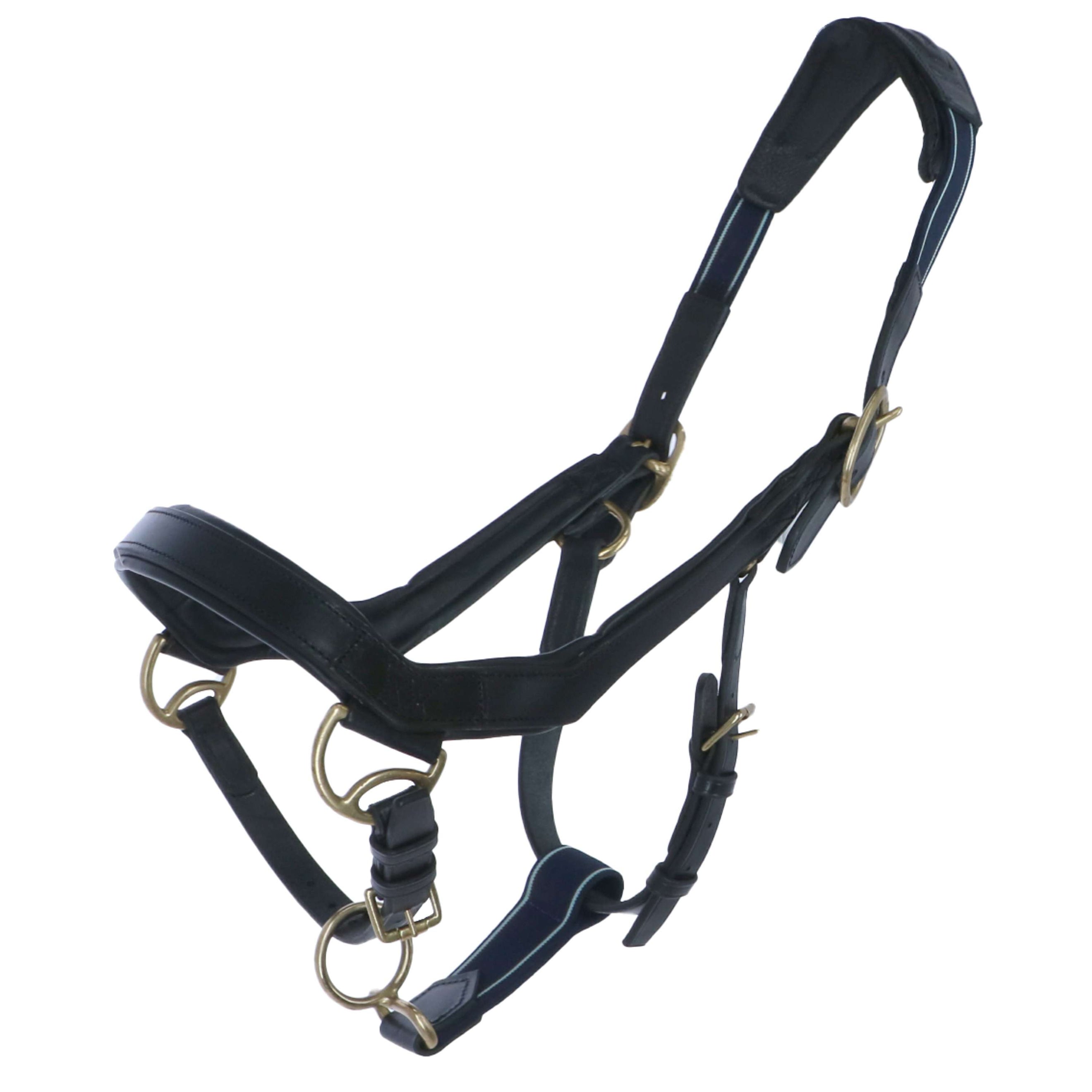 Rambo Micklem Halter Black