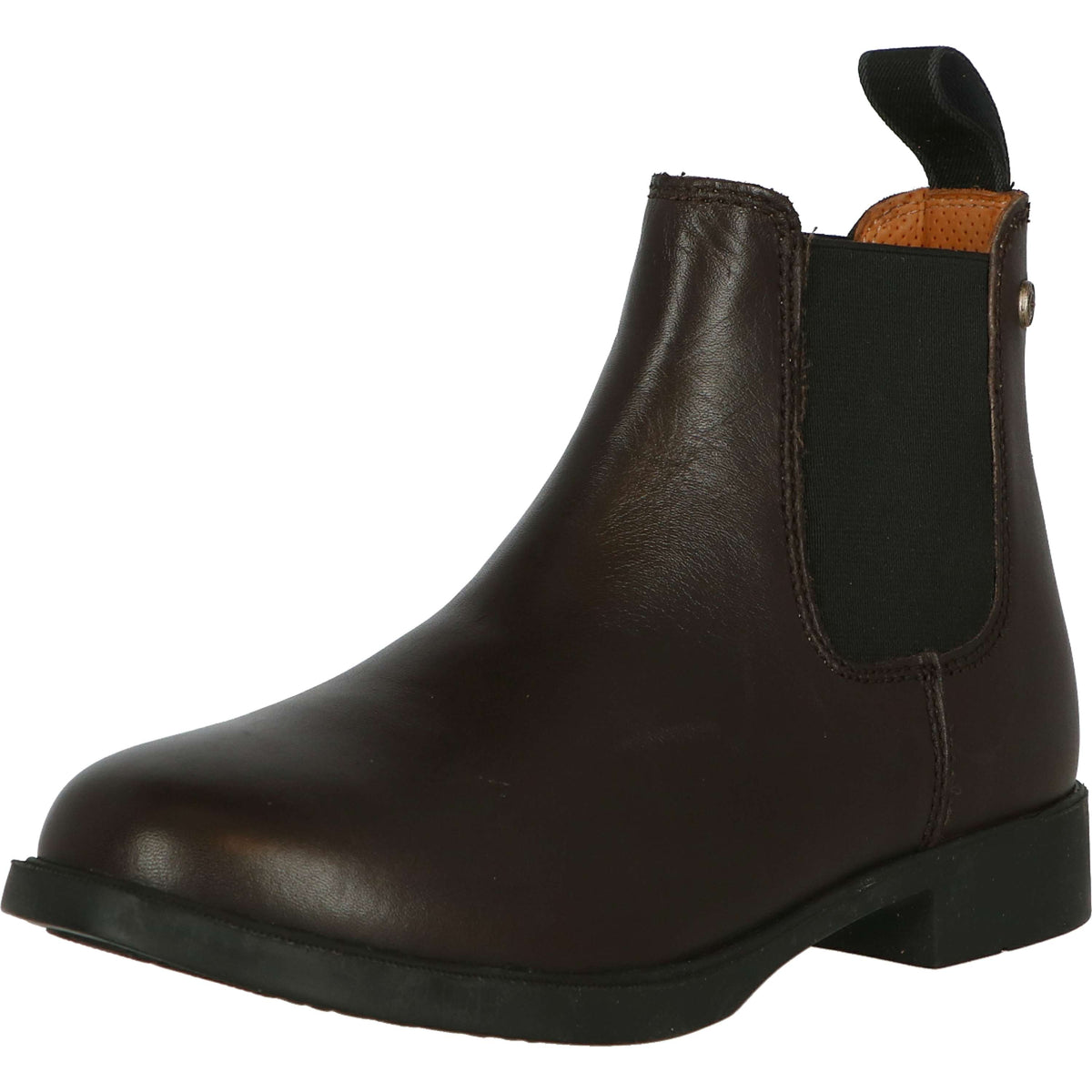 Suedwind Jodhpur Chelsea Classic Brown