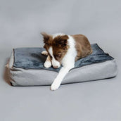 Kentucky Dog Bed Soft Pillow