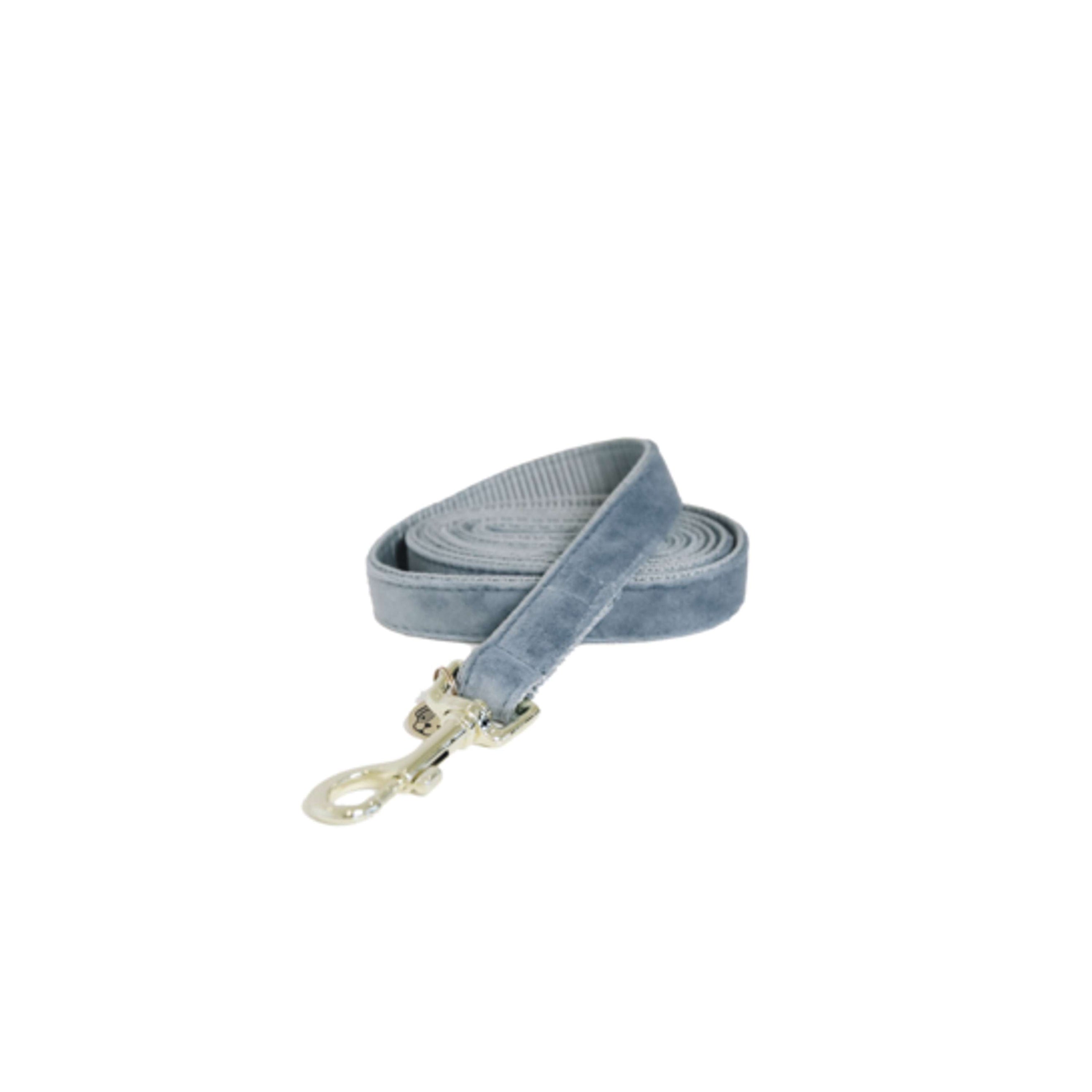 Kentucky Dog Leash Velvet Lightblue