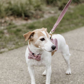 Kentucky Dog Leash Velvet Old Rose