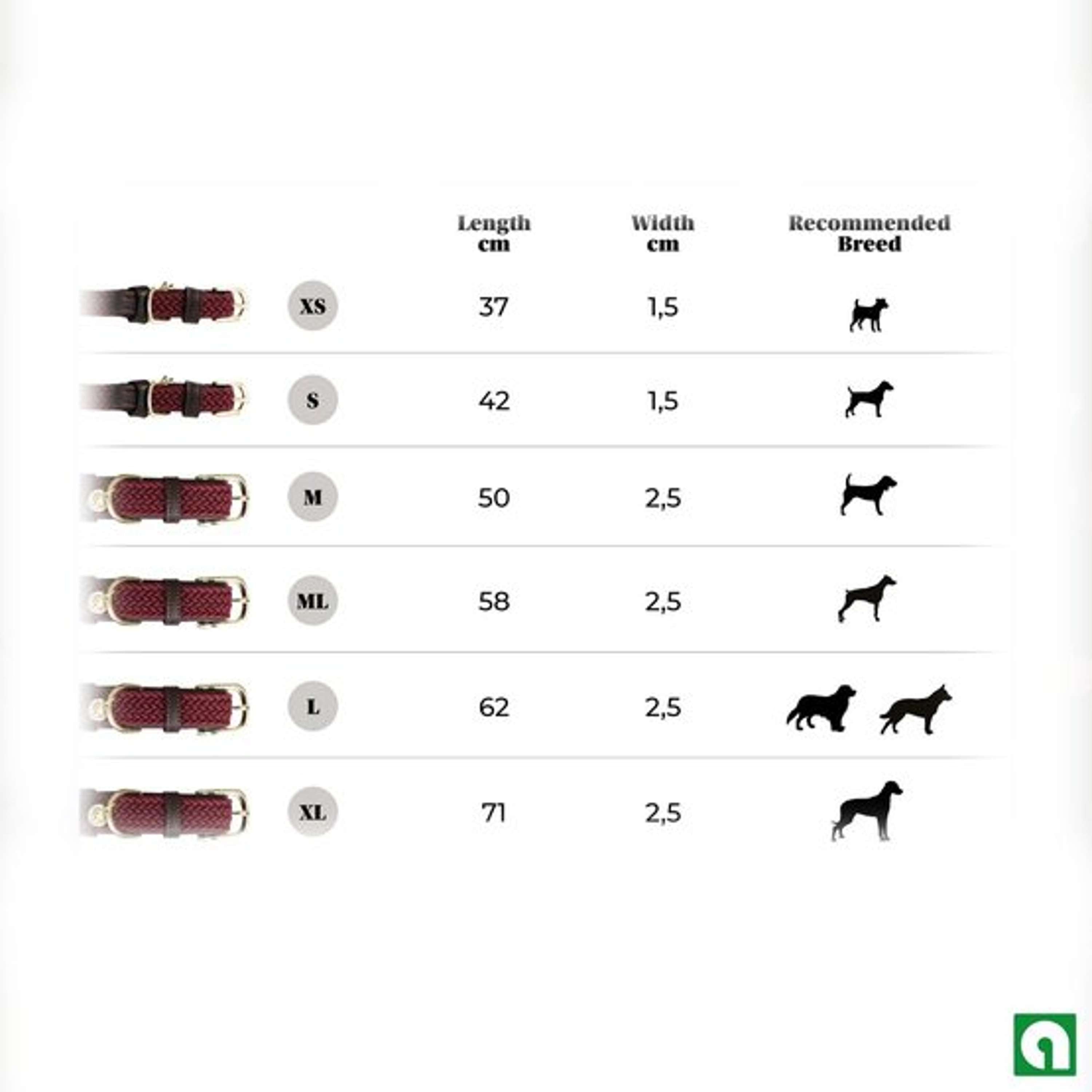Kentucky Collar Plaited Nylon Bordeaux