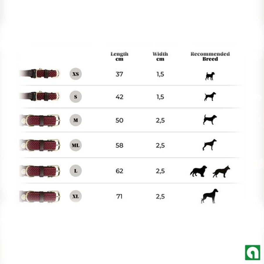 Kentucky Collar Plaited Nylon Bordeaux