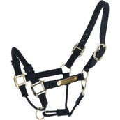 Kentucky Control Halter Nylon Black