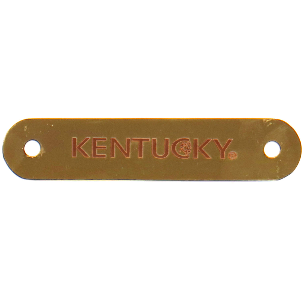 Kentucky Name Plate for the Headcollar Gold