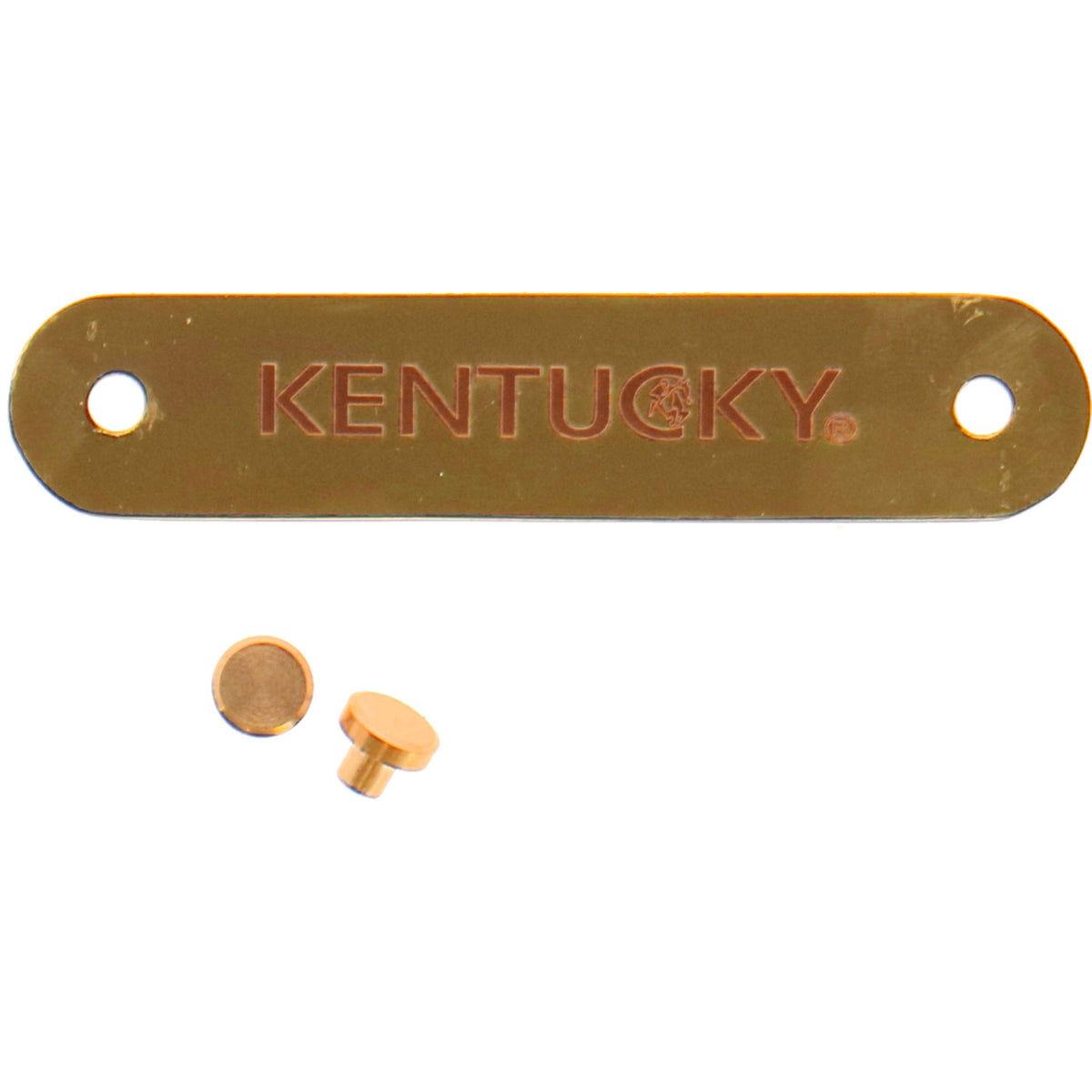 Kentucky Name Plate for the Headcollar Gold