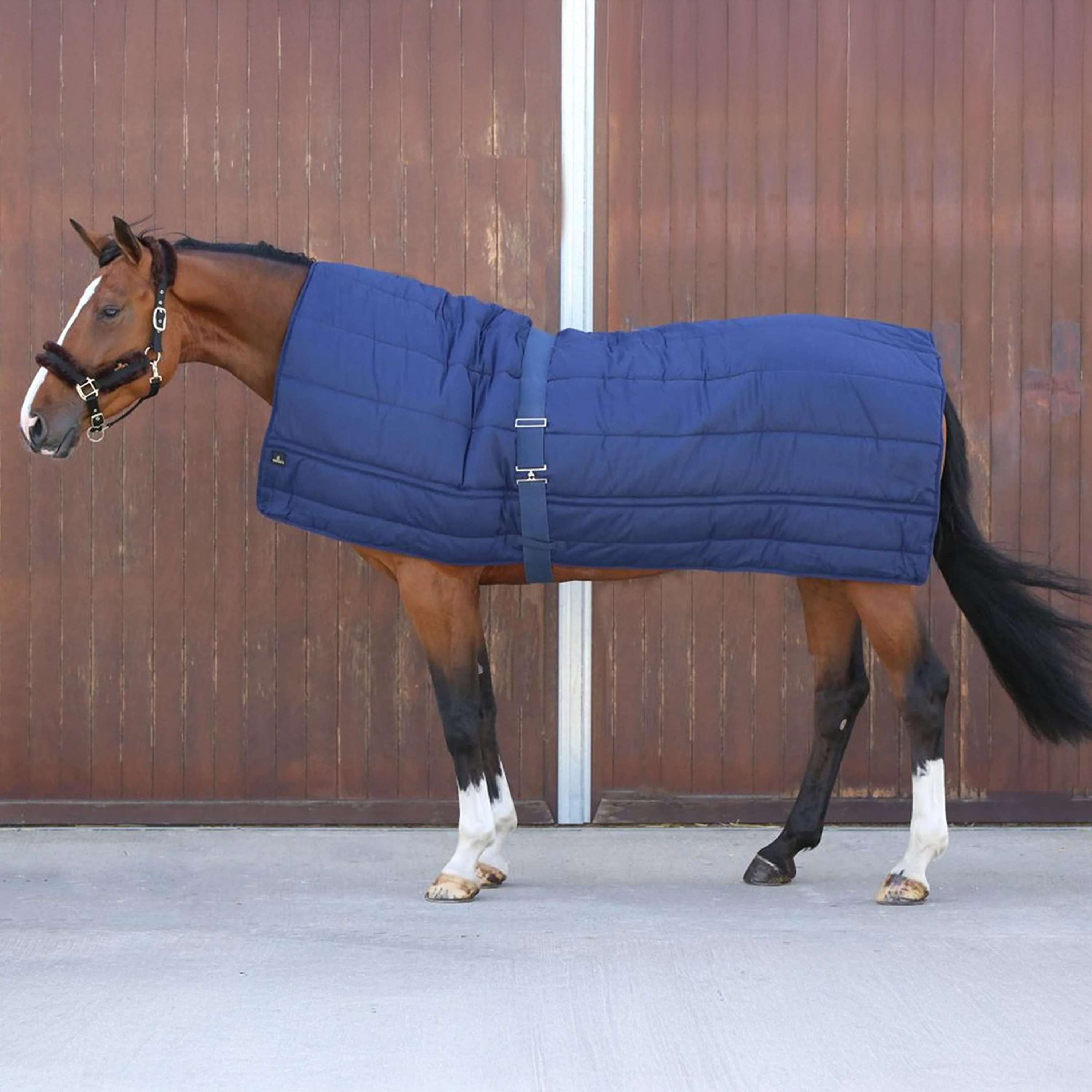 Kentucky Rug Horse Duvet 300g Navy