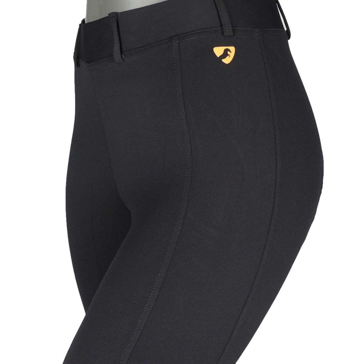 Aubrion by Shires Riding Legging Albany Black