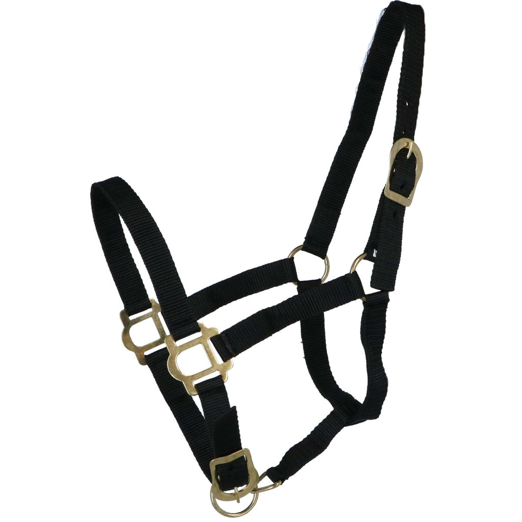 Riding World Halter Black