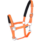 Norton Halter Fluo Raised Orange