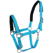 Norton Halter Fluo Raised Blue