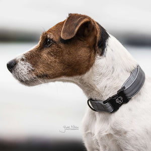 Kentucky Dogwear Collar Reflective Grey