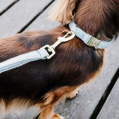 Kentucky Dog Collar Wool Lightblue