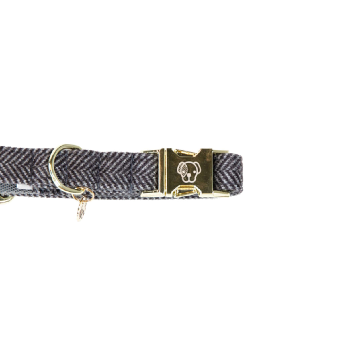 Kentucky Dog Collar Wool Grey