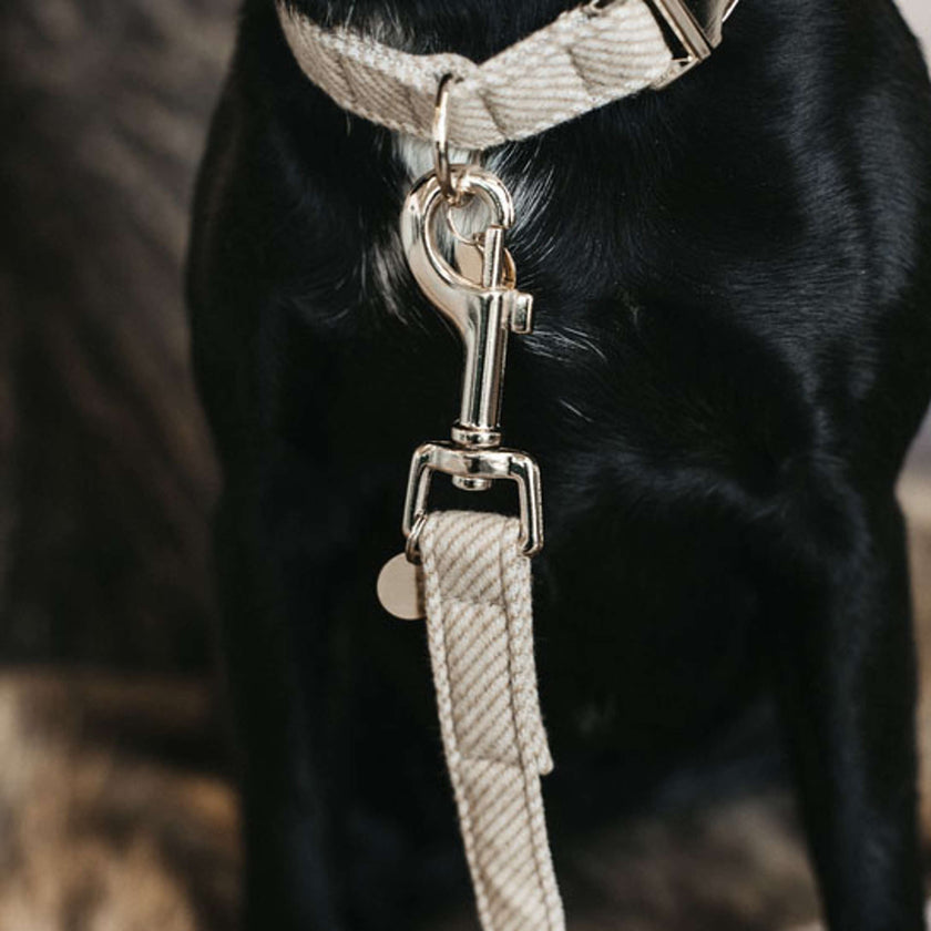 Kentucky Dog Leash Wool Beige