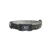 Kentucky Dog Collar Jaguar Grey