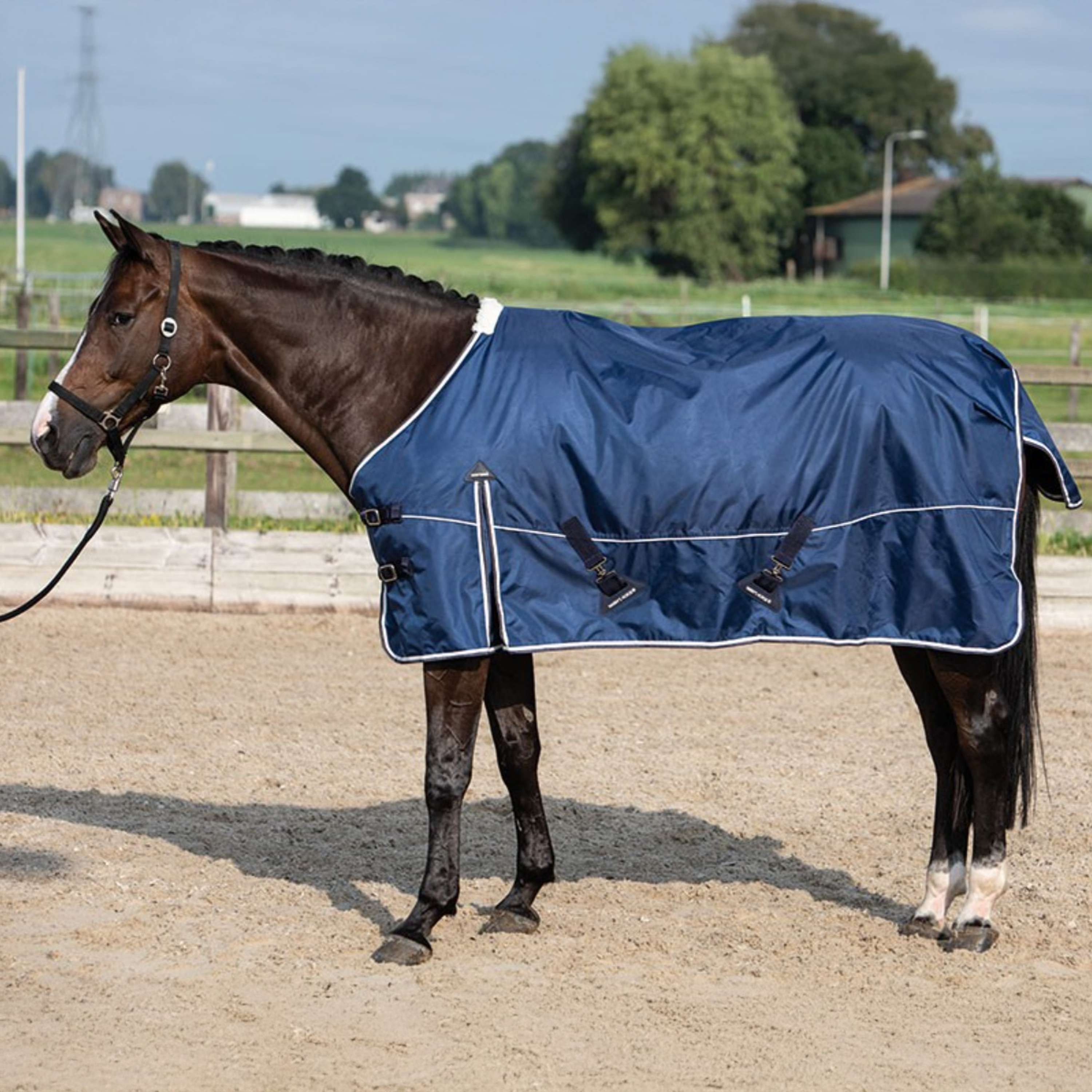 Harry's Horse Outdoor Rug Xtreme-1680 D 200g Navy
