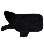 Kentucky Dog Coat Original Royal Black