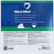 Excellent Maxi Mint Bulk Package incl. Dosator