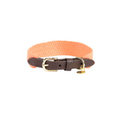 Kentucky Collar Jacquard Neon Orange