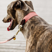 Kentucky Collar Jacquard terracotta