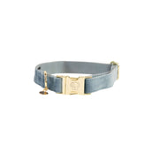 Kentucky Collar Velvet Light Blue