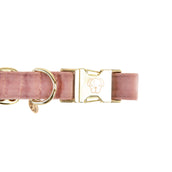 Kentucky Collar Velvet Old Rose